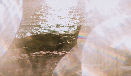 伊勢丹新宿POPUP開催